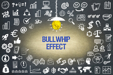 Bullwhip Effect	
