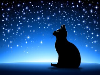 black cat looking up at the blue stary sky