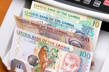 Gambian dalasi in the counting machine