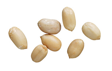 group of peanut isolated