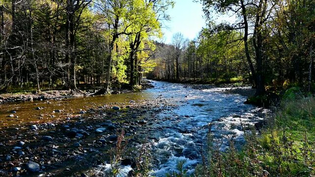 大雪高原温泉沼 大雪山 高根ヶ原のふもとに点在する沼や池をめぐる、秋の紅葉 春の水芭蕉が美しい