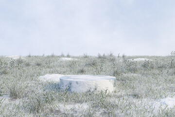 Abstact 3d render winter scene and Natural background, Snow stone podium on the snow ground and grass field for for product stand display, advertising, mockup or etc