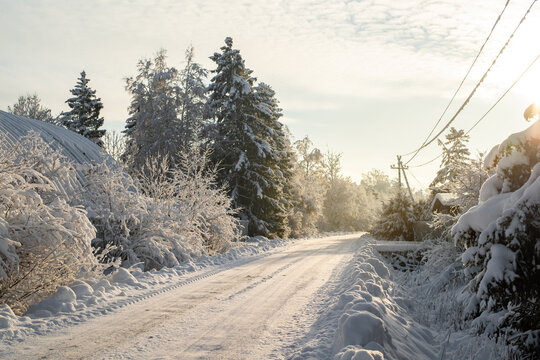 Countryside road on a sunny winter morning. Snow on the empty countryside road. Trees and bushes are covered with snow. Aespa, Estonia