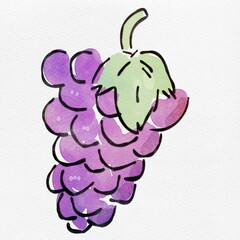 水彩 秋を彩る、ぶどうのおしゃれな手描きイラスト