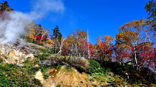 大雪高原温泉沼 大雪山 高根ヶ原のふもとに点在する沼や池をめぐる、秋の紅葉 春の水芭蕉が美しい