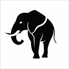 Obraz premium Elephant 