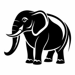 Obraz premium Elephant 