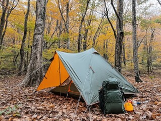 A minimalist camping experience, featuring light gear for minimalist camping, with compact tents, lightweight backpacks, and only the essentials for a simple, nature-centered experience
