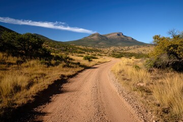 a dirt road in the middle of a desert with mountains in the background