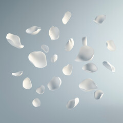 White petals on a gray background