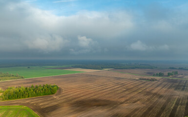 Zemgale landscape in September (Nature of Latvia).