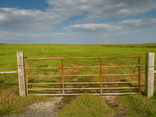 Old rusty metal gate into green grass field. Blue cloudy sky in the background. Access to a agriculture private land. Warm sunny day. Rural country area.