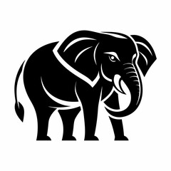 Obraz premium Elephant