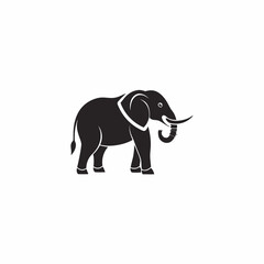 Obraz premium Elephant