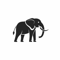 Obraz premium Elephant