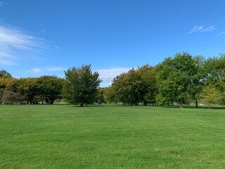 Yorkshire Arboretum at Castle Howard, North Yorkshire England UK Autumn Fall 2024 October landscape