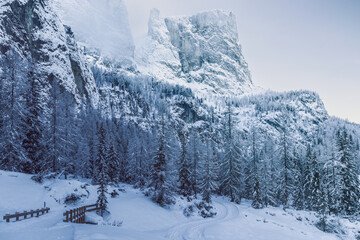 Steep snow covered cliffs and dense coniferous forest in the Dolomites, Alto Adige, with a winding trail cutting through the landscape. The natural lighting creates a near monochrome tone