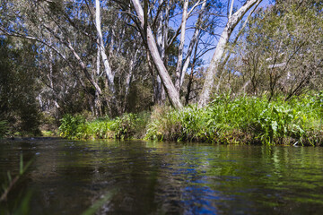 Jackson Creek, Organ Pipes National Park Melbourne