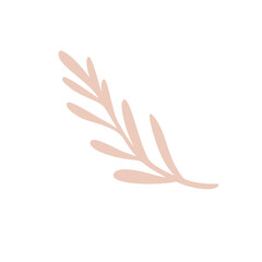 Simple hand drawn brown branch with round smooth leaves. Floral design element isolated on white background. Vector illustration