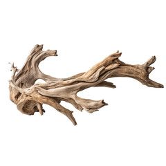 Fototapeta premium Natural driftwood piece showcasing unique textures and shapes perfect for home decor or aquarium design
