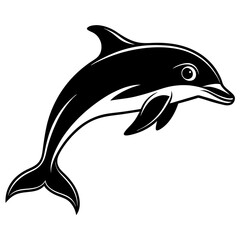 dolphin isolated on white