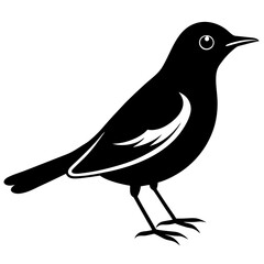 crow on a white background