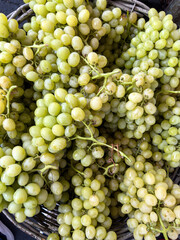 Fresh green grapes bunches, closeup of ripe fruit harvest