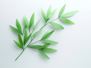 Fototapeta premium Green Leaves Branch on White Background