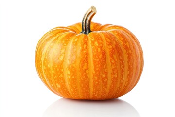 Obraz premium Pumpkin isolated on white. Pumpkin isolated on white background with shadow and reflection