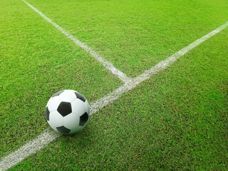 Soccer line in green grass of soccer field