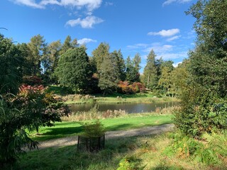 Yorkshire Arboretum, autumn landscape, North Yorkshire, view of the lake