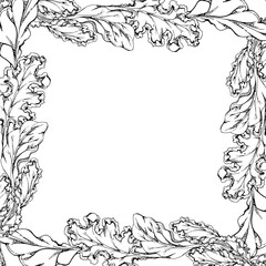 Green salad spinach kale leaf diet and healthy lifestyle, vegan cooking. Hand drawn vector ink. Illustration square border frame isolated on white background. Design recipe book, website, card, menu