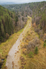 An expansive aerial view beautifully captures a winding dirt road as it weaves its way through a lush green forest, surrounded by tall, vibrant trees, all under the wide open sky above