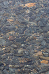 The transparent surface of the water of a lake, a reservoir with a visible rocky bottom. Small rocks under water. Natural rocky water background