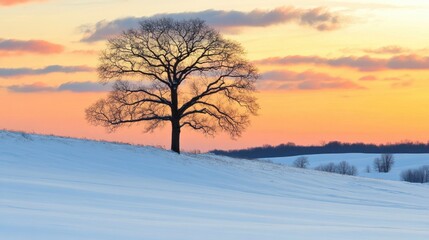 Serene Winter Sunset with Tree Silhouette