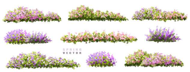 set of lavender flowers, Vector of tree or blooming  side view isolated on white background ,watercolor tree elevation for landscape concept,environment scene,eco design,blossom garden for spring