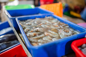 A vibrant display of fresh shrimp arranged in colorful containers at a busy market