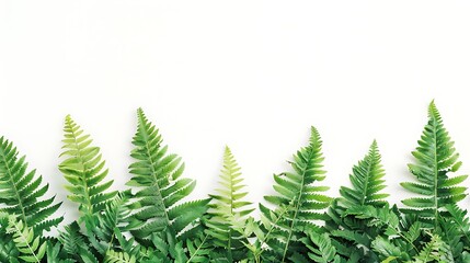 Lavender Color Vector Background, Background, Lavender, Vector