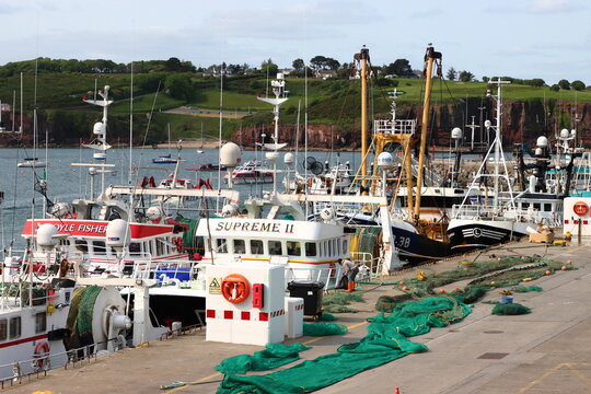 Fishing vessels in the harbour at Dunmore East, County Waterford, Ireland