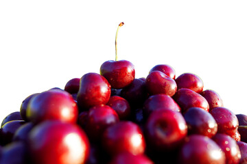 Cherry isolated on white. Lots of cherries, closeup. Cherry on white background. Beautiful Red berries background. Delicious Cherry berry background. Bunch of red cherries banner, close up.
