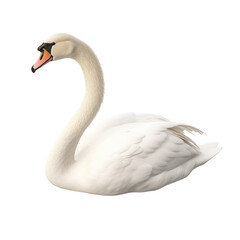 Fototapeta premium A graceful swan resting calmly on a white surface in a serene indoor setting