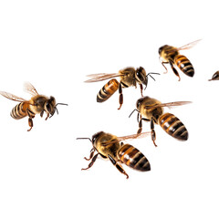 Bees gathering pollen in a bright setting during the day