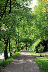 Dreisamuferweg in Freiburg im Herbst