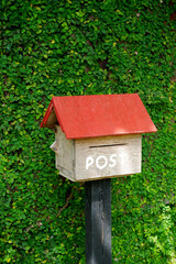 Wooden mail box at green plant wall, Vintage decoration
