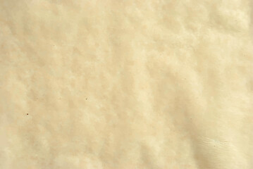 Parchment paper background in vector. light color parchment paper. Brown paper texture.