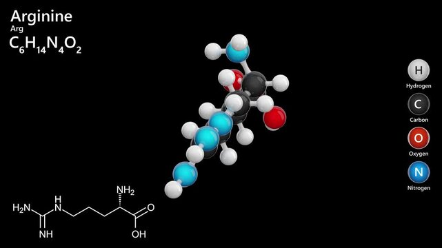Molecule of Arginine (C6H14N4O2), is a semi-essential amino acid with a positively charged guanidinium group. Arginine supports immune function, hormone secretion. White back. 3D render.