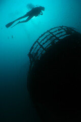 Red Sea Underwater Wonders: Scuba Diving, Marine Life, Corals & Sea Creatures
