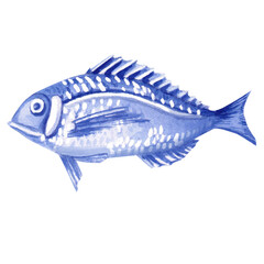 Fish painted in watercolor. Isolated illustration of marine vertebrate in realistic style for restaurant design, menu, textile, posters, tableware, holiday decoration © Svetlana