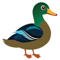 Beautiful duck black color vector illustration