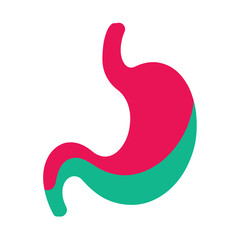 Colorful stomach icon on white background vector illustration 